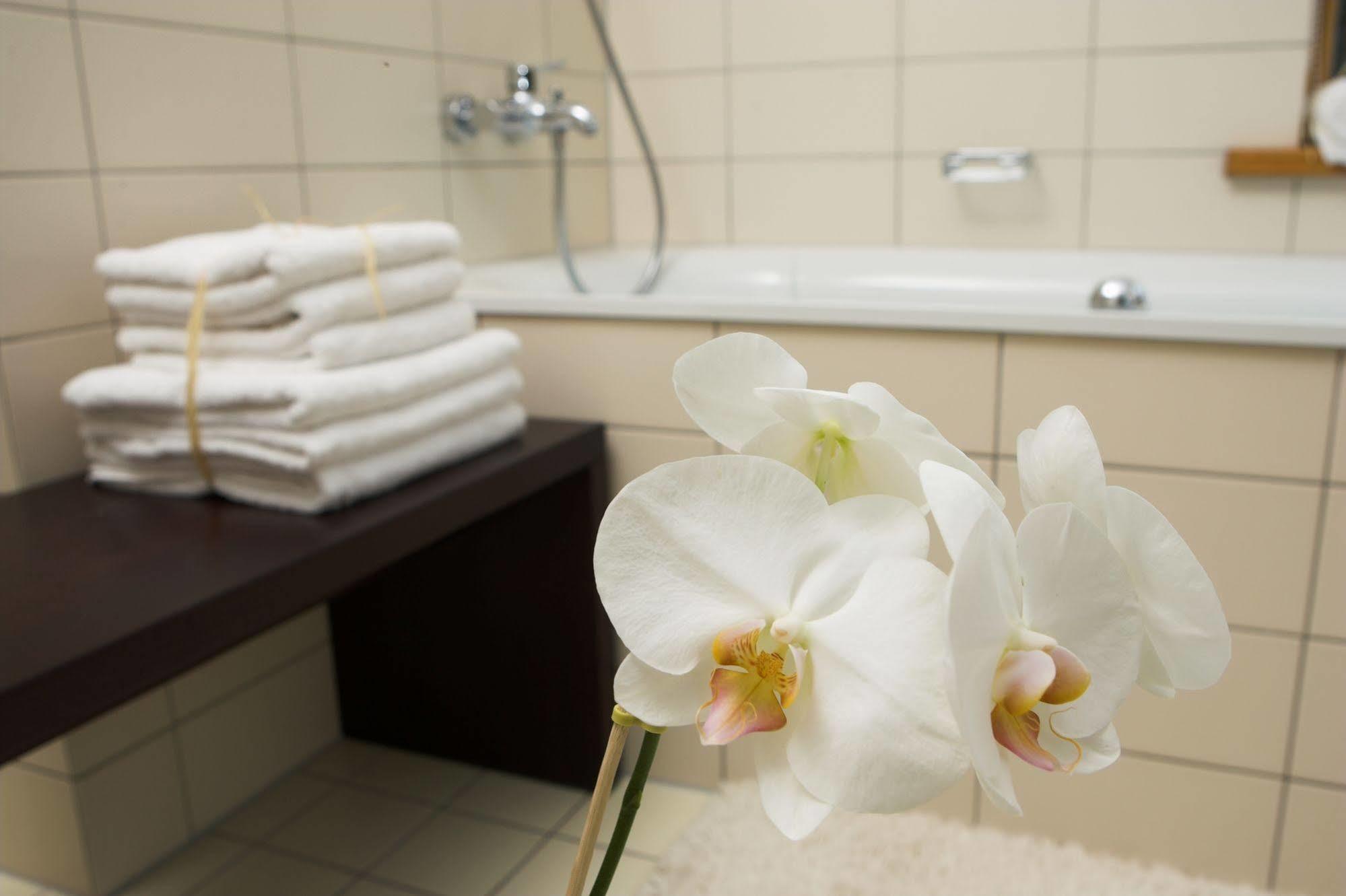 Apartamentai Tylios Pusys 帕兰加 外观 照片