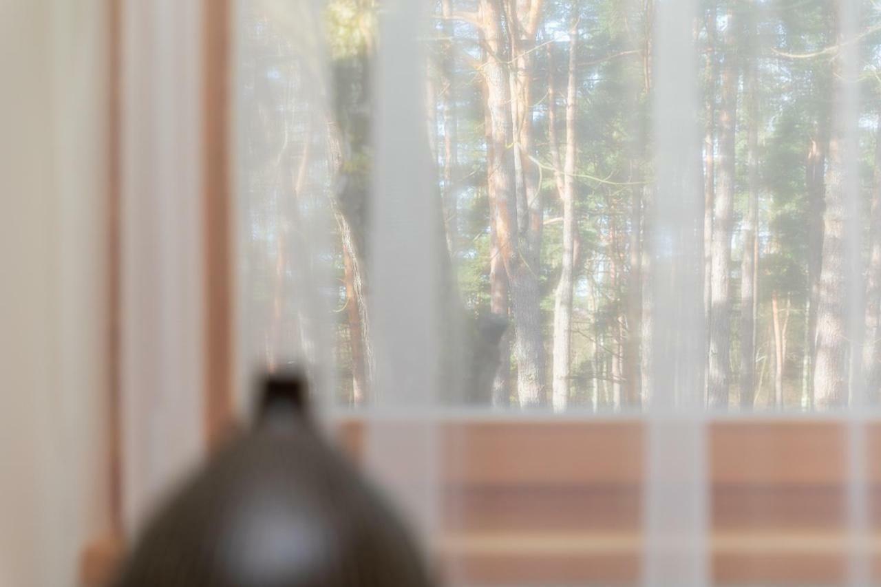 Apartamentai Tylios Pusys 帕兰加 外观 照片